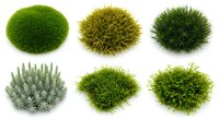 Set of six decorative moss balls in various shades of green isolated on white background for landscaping and garden design projects.