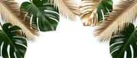 Tropical frame with golden palm fronds and green monstera leaves on white background for summer design projects and botanical decorations.