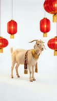 White goat with golden decorative harness standing among red Chinese lanterns on white background for Year of Goat celebrations and Asian festival designs.