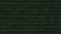 Dark green crocodile skin texture with detailed scales forming a seamless repeating pattern. Organic reptilian surface design for fashion and luxury goods backgrounds.