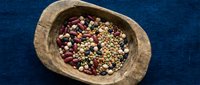 Mixed legumes and seeds in a rustic wooden bowl on blue fabric, top view. Healthy plant-based protein food concept for nutrition and cooking.
