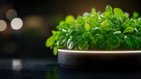 Fresh microgreens growing in white ceramic bowl against dark background with bokeh lights, vibrant green leaves showing healthy organic produce for food styling.