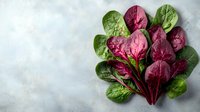 Fresh green and red chard leaves arranged in fan shape on light gray concrete background, organic healthy vegetables for cooking and salads.