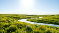 Winding river cuts through lush green tundra landscape with sparse vegetation and wetland terrain under clear sky, suitable for environmental and nature projects.