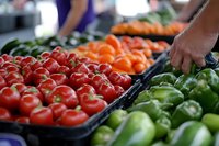 Fresh organic vegetables at farmers market with hand selecting green bell peppers from display of tomatoes and produce for healthy cooking and nutrition.