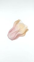 Smooth foundation cream smear in nude beige tones isolated on white background for cosmetic and beauty product design applications.