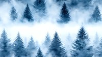 Misty pine forest in blue tones creates atmospheric winter landscape with silhouettes of evergreen trees emerging through foggy morning haze.