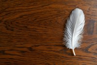 Single white feather on dark wooden surface with natural grain texture and pattern, minimalist composition with copy space for text or design elements.