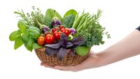 Fresh organic herbs and vegetables in wicker basket held by female hands isolated on white background for healthy cooking and culinary design.