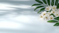 Fresh white plumeria flowers and tropical palm leaves on light background with soft window shadows, creating minimalist spa atmosphere.