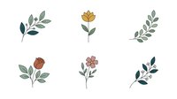 Botanical line art illustrations with watercolor accents, isolated on white background. Hand-drawn foliage and flower elements for design, clipart, and decorative projects.