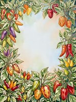 Hand-drawn botanical frame featuring colorful peppers and chili plants with green foliage arranged around white center space. Suitable for recipe cards, cooking blogs, garden designs, and culinary marketing materials.