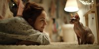 Young woman with auburn hair smiling at hairless Sphynx cat on carpet in cozy home interior with soft lighting and blurred background.