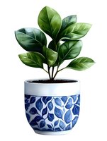 Green plant with glossy leaves in white and blue ceramic pot featuring leaf pattern design on white background, isolated decorative houseplant illustration for home decor.
