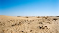 Arid desert landscape with rolling sand dunes and sparse vegetation under clear blue sky, suitable for travel, nature, and environmental design projects.
