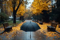 Black umbrella standing upright on wet pathway in autumn park, surrounded by fallen yellow maple leaves and empty benches, moody atmospheric scene.