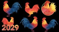 Rooster isolated on transparent background, ready for t-shirt design, clipart, stickers, sublimation and print-on-demand products. Multiple poses and 2029 year designs included.