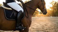 Equestrian rider in black boots and white pants on brown horse during golden hour sunset training session at outdoor arena.