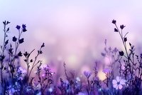 Dreamy purple wildflower meadow silhouettes against soft bokeh background creating peaceful nature scene for wellness and relaxation designs.