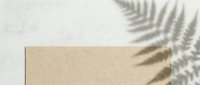 Kraft paper sheet with fern leaf shadows cast on white surface, minimalist flat lay composition for design projects.
