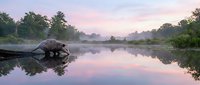 Elephant drinking water at serene lake during pink sunset with misty atmosphere and lush forest reflection creating peaceful wildlife scene for nature photography.