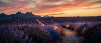 Lavender field at sunset with mountain backdrop and warm golden light creating dreamy bokeh effects across purple blooms in peaceful countryside landscape.