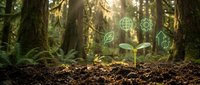 Young green plant seedling growing from rich soil in sunlit forest with digital sustainability icons representing eco-friendly technology and environmental growth.