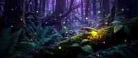 Enchanted forest floor with glowing fireflies dancing among moss-covered logs and ferns. Magical woodland scene with sparkling lights creating mystical atmosphere.