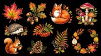 Autumn fall season isolated design elements collection with maple leaves, acorns, fox, mushrooms, hedgehog, rowan berries, squirrel, pinecone, fern, and foliage wreath on transparent background. Ready for t-shirts, stickers, clipart, sublimation.