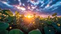 Magical sunset over soybean field with glowing fireflies dancing among green leaves, dramatic sky with pink clouds and golden sunburst creating dreamy atmosphere.