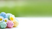 Colorful speckled Easter eggs with white daisy flowers on bright green spring background for holiday celebration and seasonal decoration.