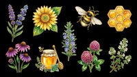 Botanical honey bee clipart set with sunflower, lavender, clover, echinacea, honeycomb and honey jar, isolated on transparent background, for stickers, t-shirts, print on demand.