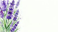 Watercolor lavender flowers with green stems on white background. Botanical illustration with purple blooms and copy space for text and design projects.