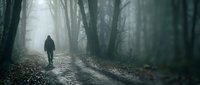 Solitary figure walking through misty forest path surrounded by bare trees creating atmospheric mood for storytelling and contemplative themes.