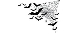 Spooky Halloween corner design with flying bats and spider web on white background, isolated clipart ready for seasonal greeting cards, invitations and festive decorations.