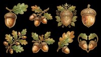 Set of eight decorative acorn and oak leaf clipart elements, isolated on transparent background, ready for fall stickers, t-shirt design, print on demand, and sublimation projects.