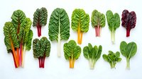Colorful rainbow chard and leafy greens variety arranged in row on white background, fresh organic vegetables for healthy cooking and nutrition.