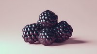 Fresh ripe blackberries cluster on soft pink background, organic summer fruit for healthy eating, desserts, smoothies and natural food concepts.