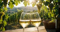 Two glasses of white wine on wooden table in vineyard during golden hour sunset with grape vines and rolling hills creating romantic atmosphere for wine tasting.
