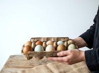 Hands holding open cardboard egg carton with brown and white eggs against white background, suitable for food, agriculture, farming, and organic product marketing materials.