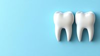 White molar teeth models on light blue background. Dental care concept for dentistry, oral hygiene, and healthcare professionals.