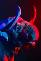 Dramatic close-up of elephant head illuminated by vibrant red and blue lighting creating striking contrast and texture detail, highlighting trunk and tusks against dark background.