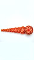 Sliced red tomatoes arranged in progressive sizes on white background, isolated for food and culinary design projects.