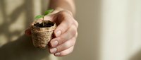 Caucasian person holding small seedling in biodegradable pot, promoting sustainable gardening and environmental conservation practices.