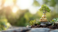 Serene Buddha statue with bonsai tree on natural rock formation in garden setting with soft sunlight and blurred background.