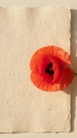 Vibrant red poppy flower with dark stamens isolated on textured cream paper background, suitable for greeting cards, botanical designs, and creative projects.