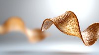 Elegant golden spiral wood shaving with soft blur background creates minimalist composition for design and decoration projects.