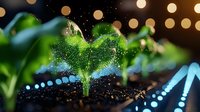 Young green plant seedling growing in soil with water droplets and bokeh lights creating magical garden atmosphere against dark background.