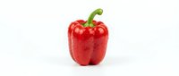 Fresh red bell pepper with water droplets isolated on white background, suitable for food, cooking, nutrition, and healthy eating designs.