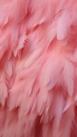 Soft pink feathers creating delicate texture and gentle movement, perfect for fashion, wedding designs, or feminine product backgrounds.